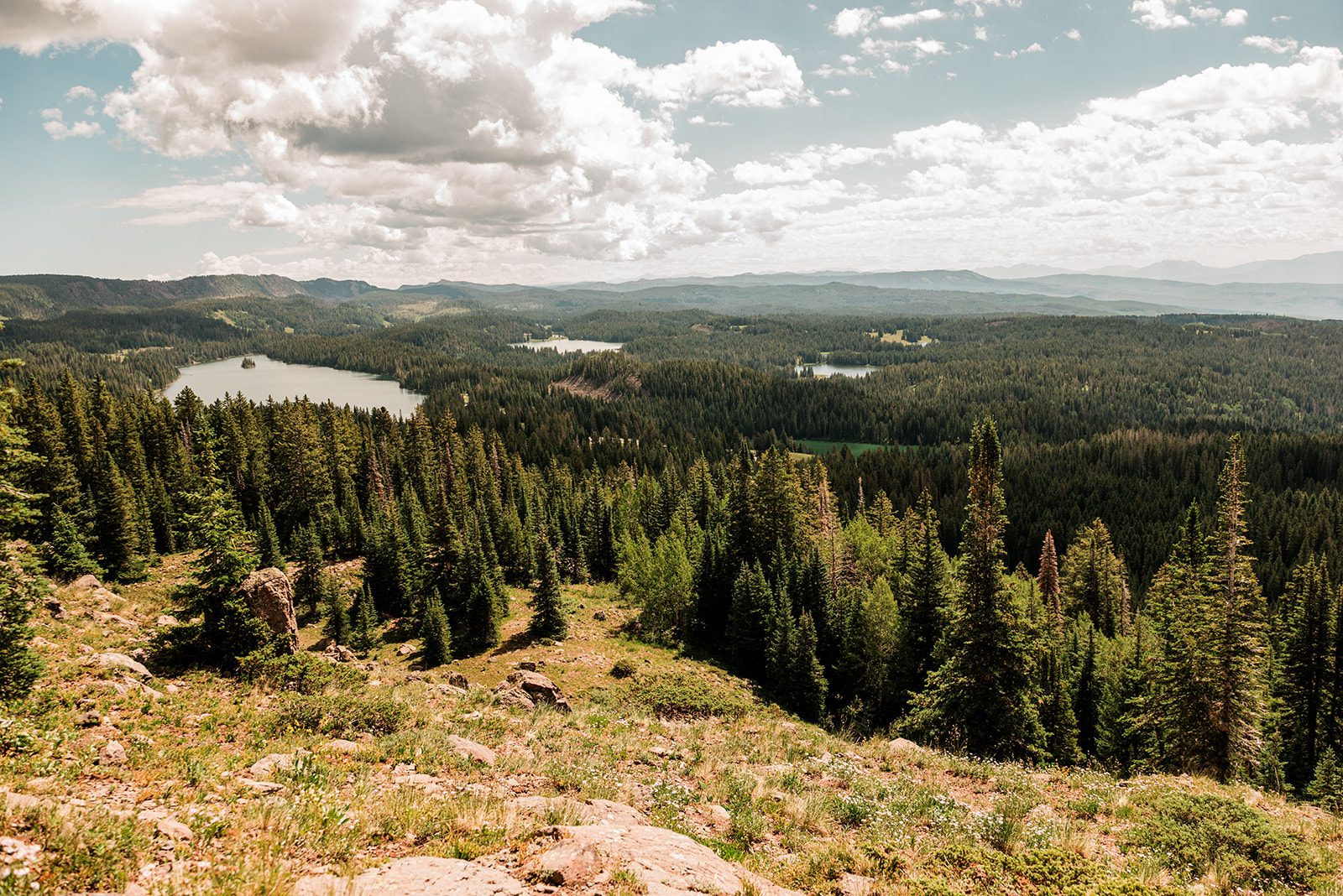 how to elope on the grand mesa