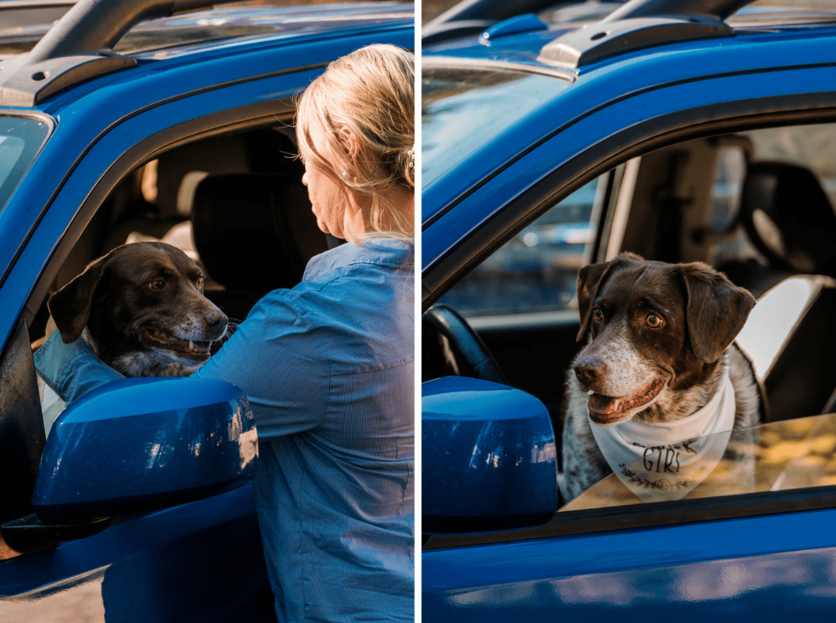 Sam & Allison | Fall Elopement on the Grand Mesa