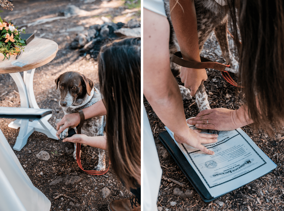 Sam & Allison | Fall Elopement on the Grand Mesa