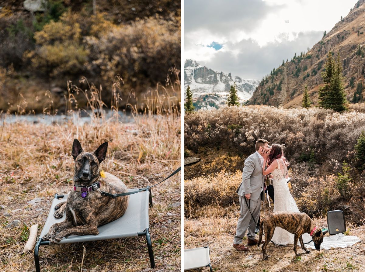 Molly & Aaron | Fall Elopement in Yankee Boy Basin