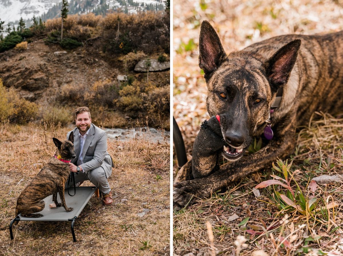 Molly & Aaron | Fall Elopement in Yankee Boy Basin