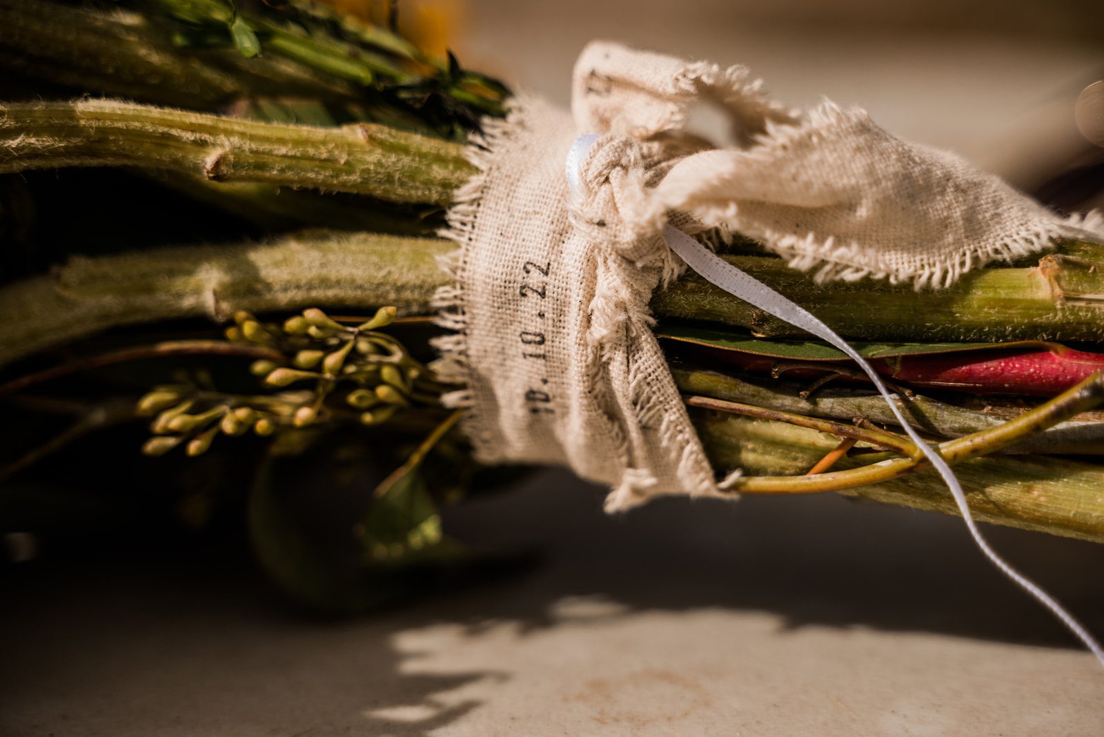 Molly & Aaron | Fall Elopement in Yankee Boy Basin