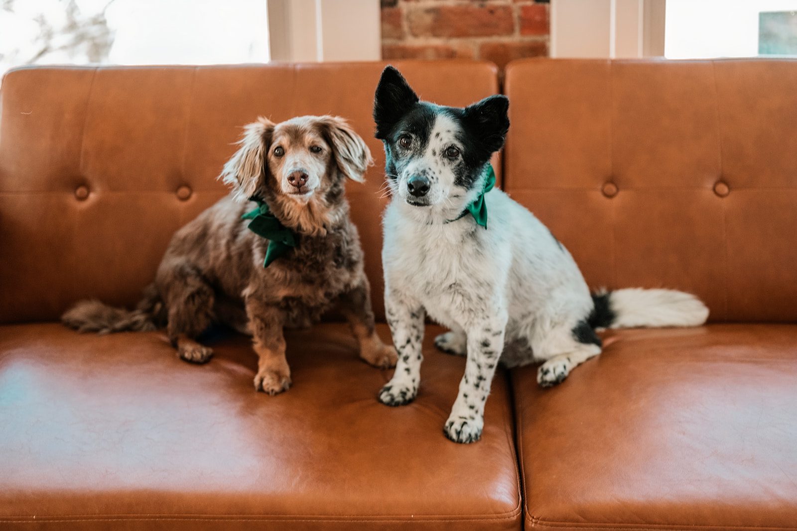 et family photography Aesthetic Collective downtown Grand Junction