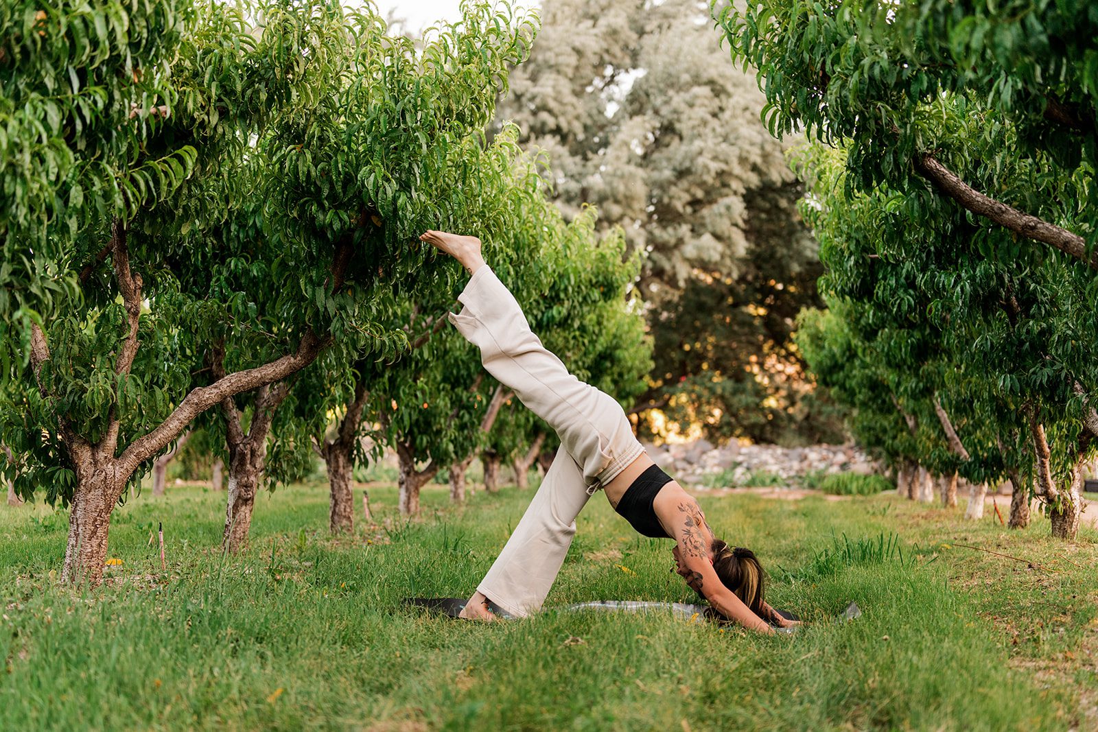 ne to Flow massage therapist Audrey practicing yoga at a Western Slope orchard